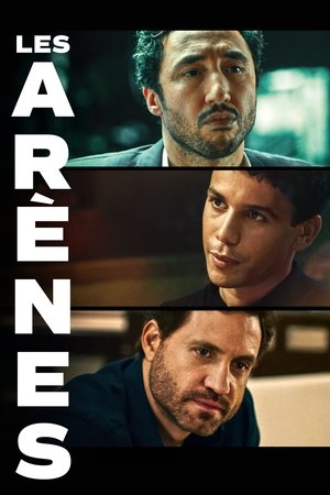 Les arènes Les arènes